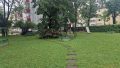 Gemeinschaftsgarten